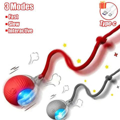 Interactive Rolling Cat Ball