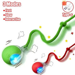 Interactive Rolling Cat Ball