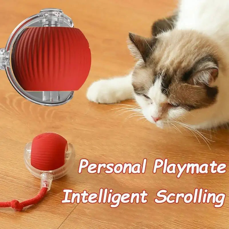 Interactive rolling cat ball toy – product view 3
