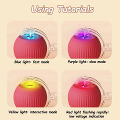 Interactive Rolling Cat Ball