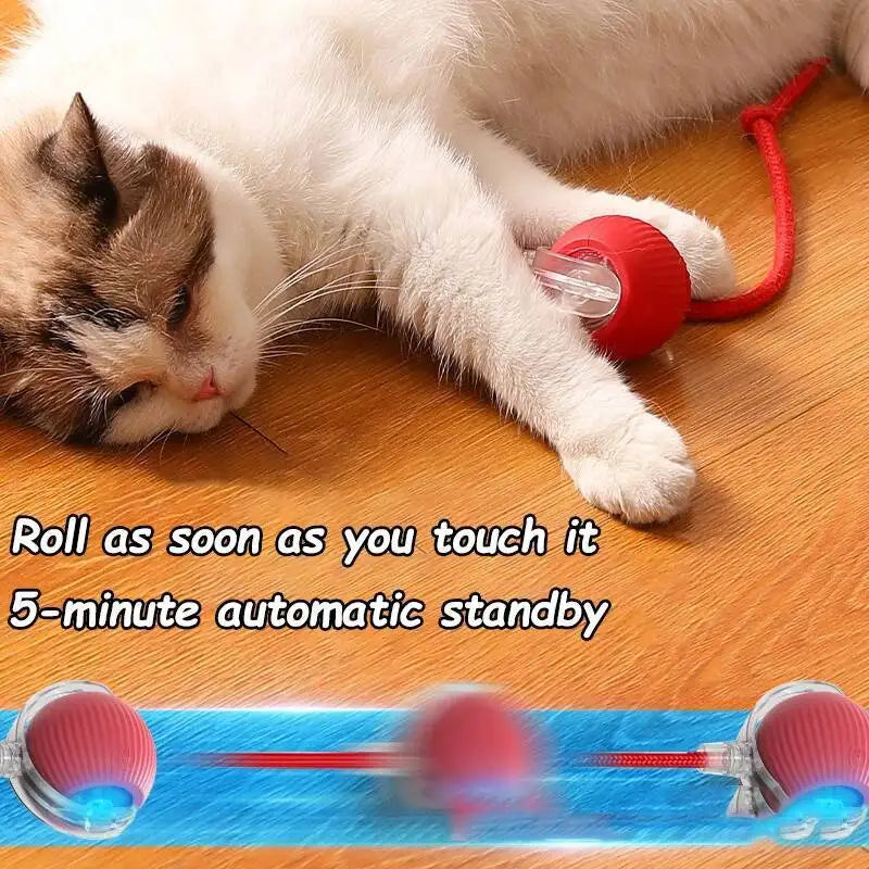 Interactive rolling cat ball toy – product view 4