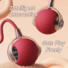 Interactive Rolling Cat Ball