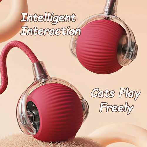 Interactive rolling cat ball toy – product view 2