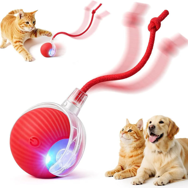 Interactive Rolling Cat Ball